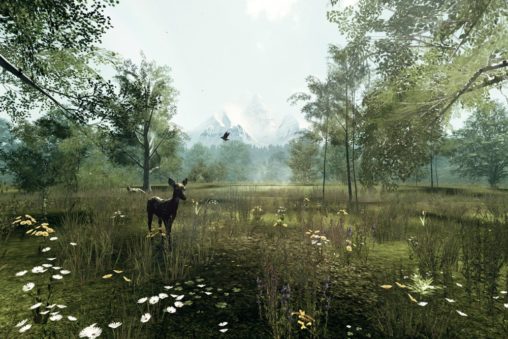 naturetrekdeer - Nature Treks VR Review