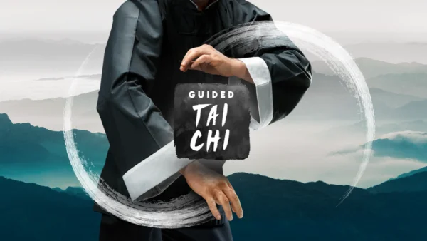 Guided Tai Chi VR Review